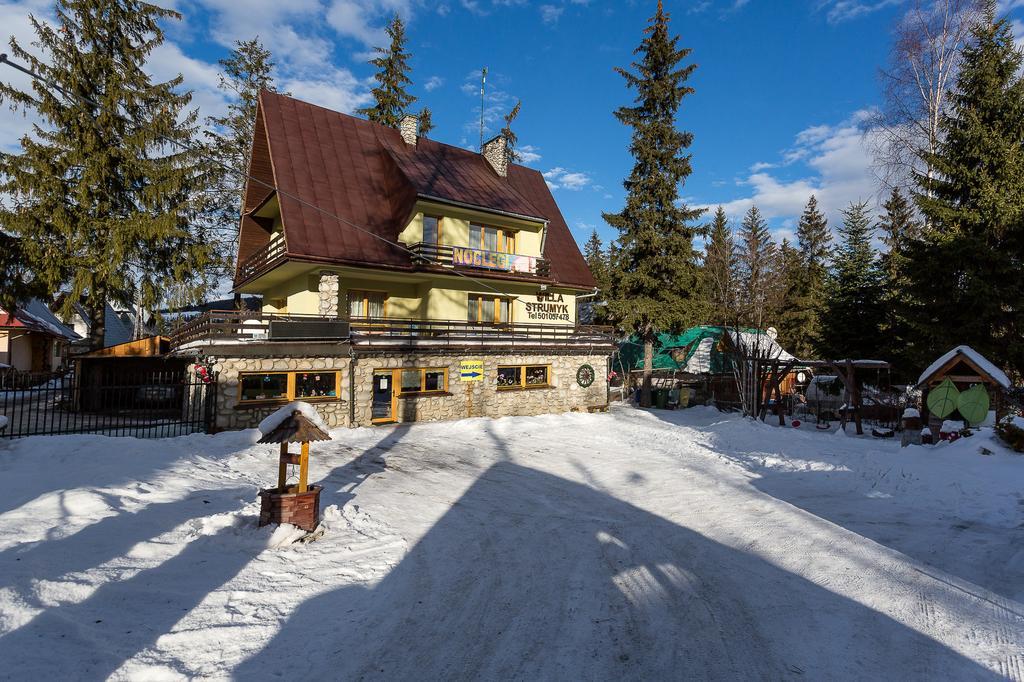 Willa Strumyk Zakopane Kültér fotó